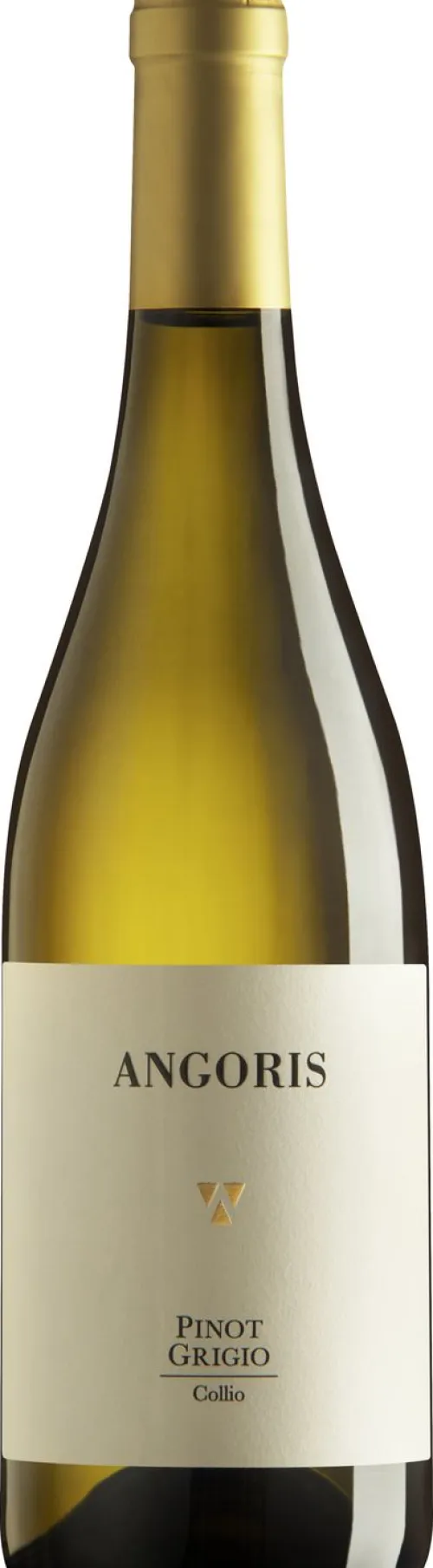 Pinot Grigio|Angoris New