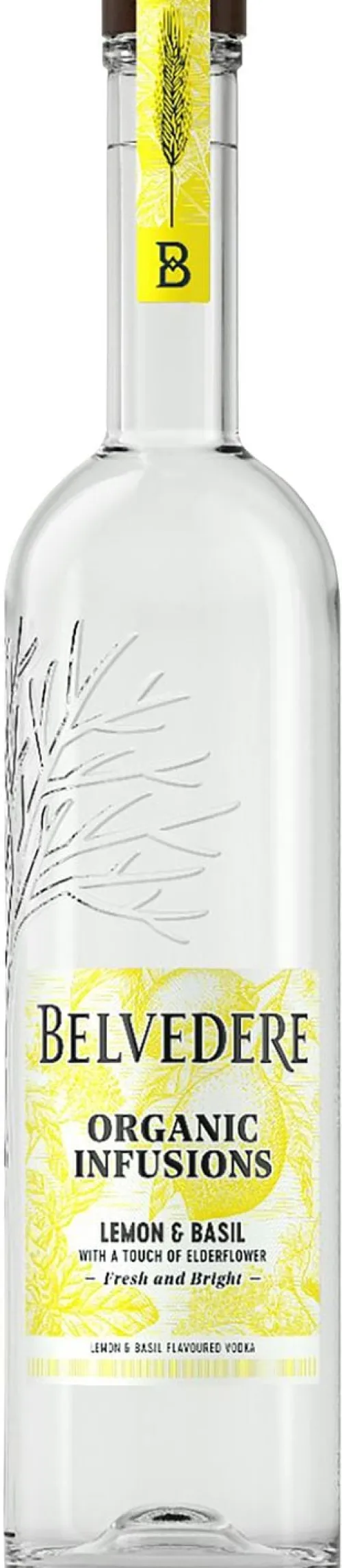 Organic Infusion Lemon Basil|Belvedere Online