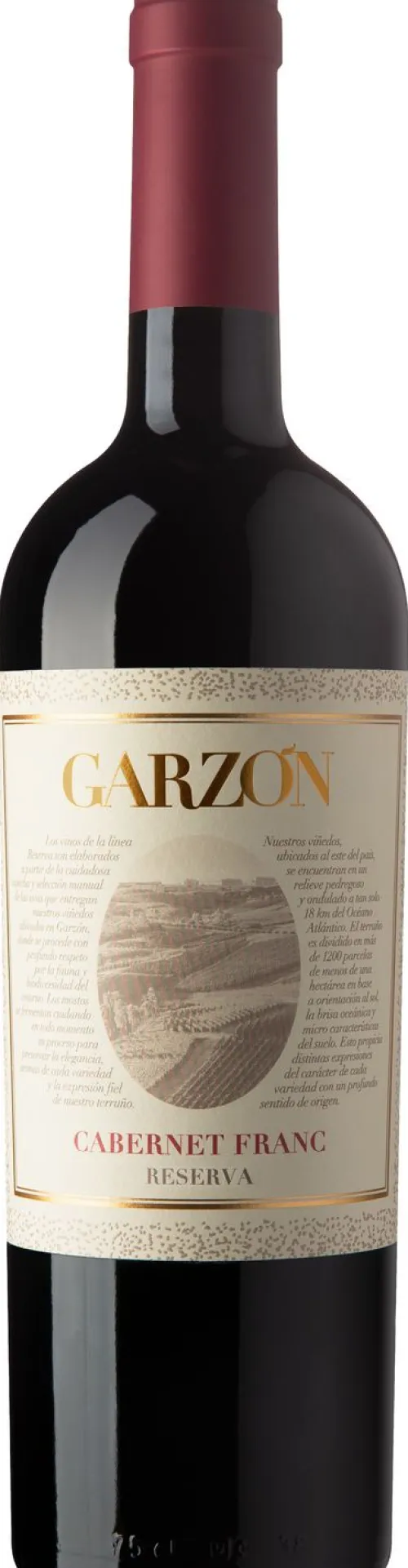 Bodega Garzón Reserva Cabernet Franc|Bodega Garzón Clearance