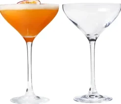 Chef & Sommelier Martini glas (21 cl) - set van 2|Chef & Sommelier Clearance