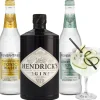 Cocktailpakket Hendricks Gin tonic|Gall & Gall