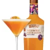 De Kuyper Passionfruit Martini Cocktail|De Kuyper Online