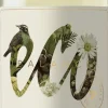 Sauvignon Blanc Organic|Eco