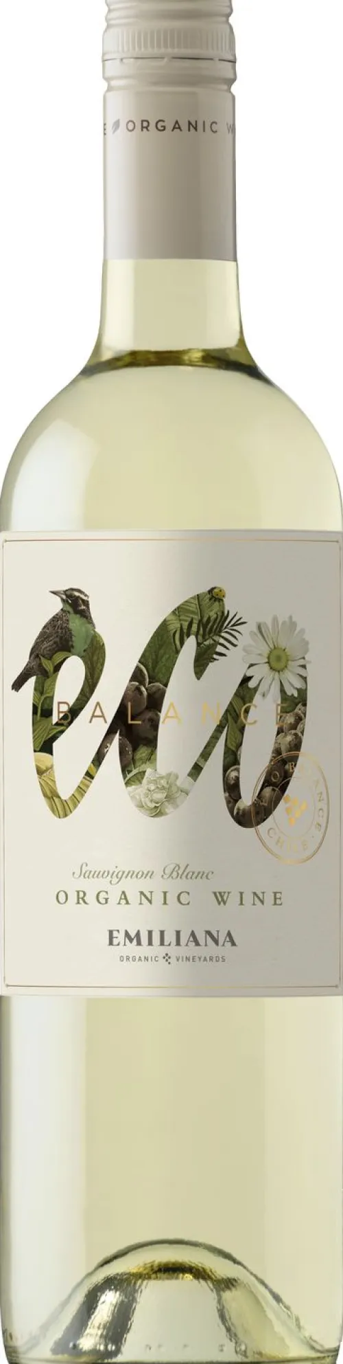 Sauvignon Blanc Organic|Eco
