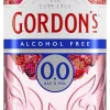 Gordon’s Pink Gin Alcoholvrij|Gordon's Hot