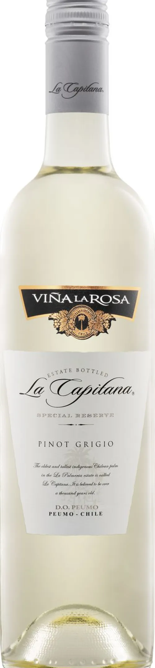 La Capitana Pinot Grigio|La Capitana Online