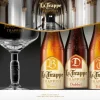 La Trappe Cadeaupakket met glas|La Trappe Clearance