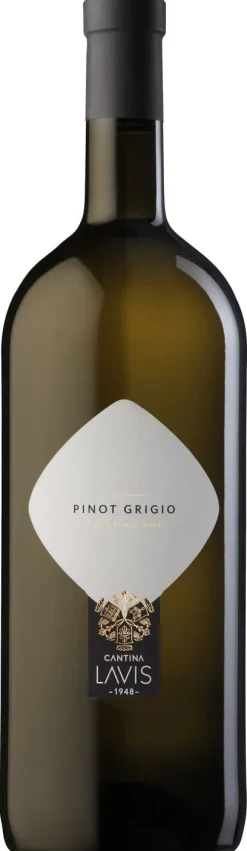 Classici Pinot Grigio Magnum|Lavis Sale