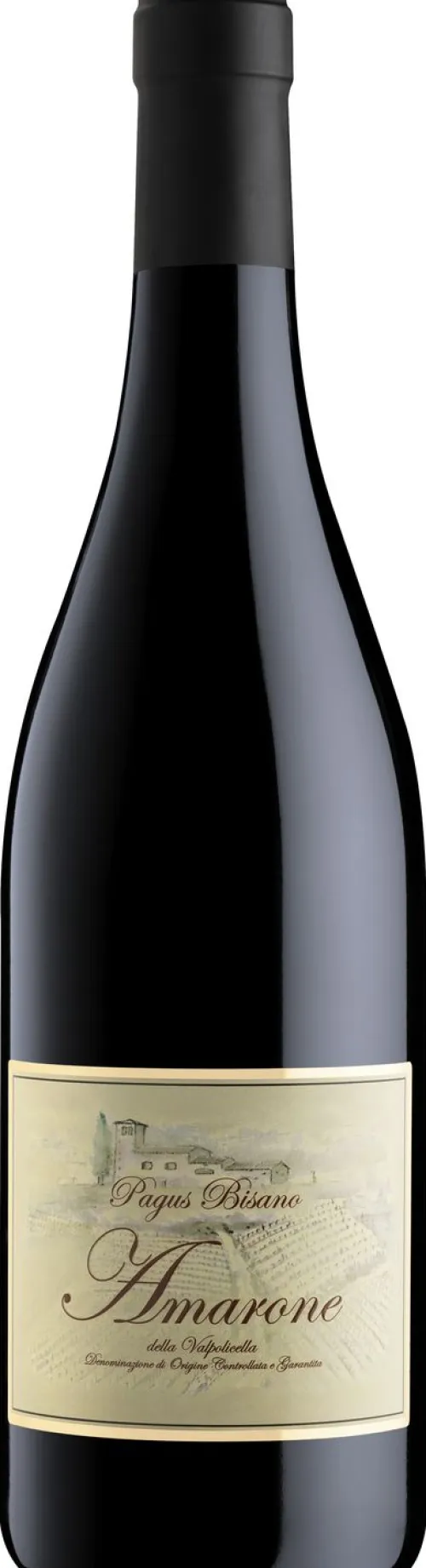 Pagus Bisano Amarone della Valpolicella|Pagus Bisano