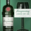 London Dry Gin Cadeaupakket met Coppa glas|Tanqueray Discount