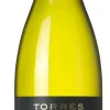 Fransola Sauvignon Blanc|Torres Discount