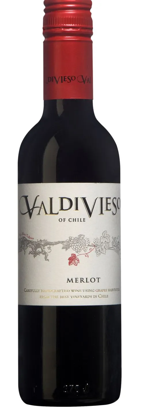Merlot|Valdivieso Best