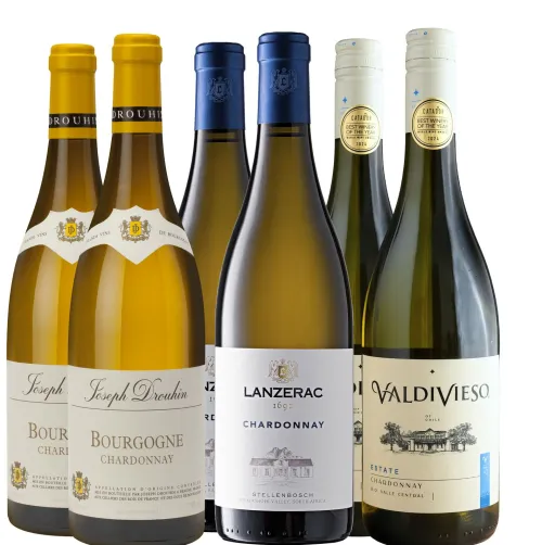 Wijnbox Bestsellers Chardonnay|Gall & Gall Discount