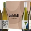 Wijnbox Bestsellers Sauvignon Blanc|Bruce Jack Clearance
