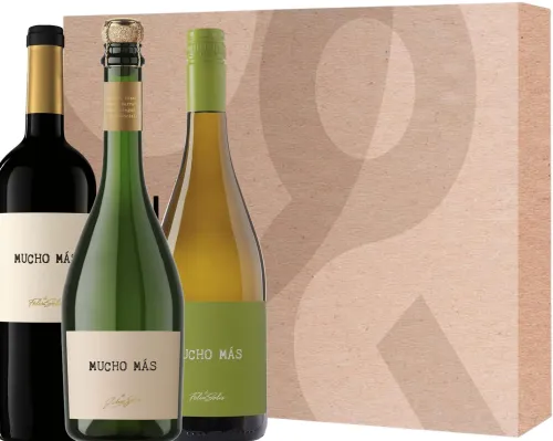Wijnbox Mucho Mas|Gall & Gall Outlet