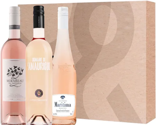 Wijnbox Rosé Provence|Gall & Gall Sale